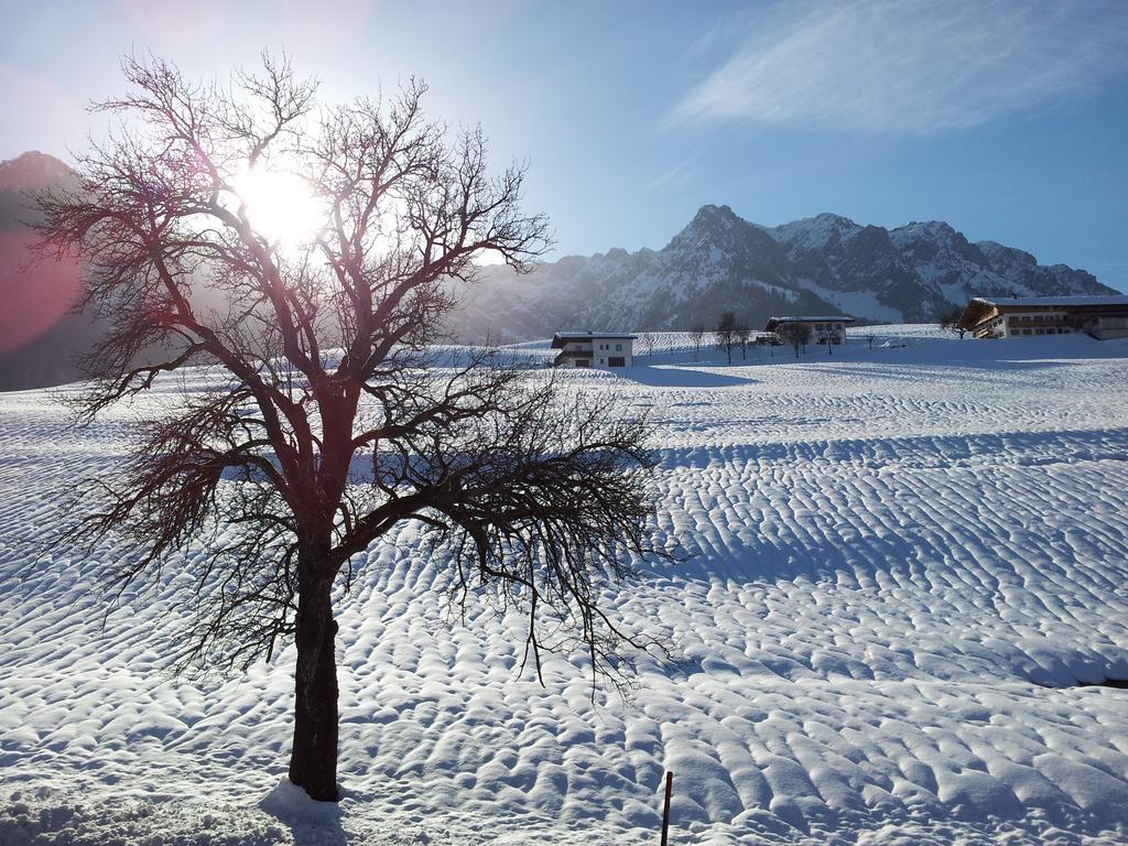Chalet Glockenhof Вальхзе Екстер'єр фото