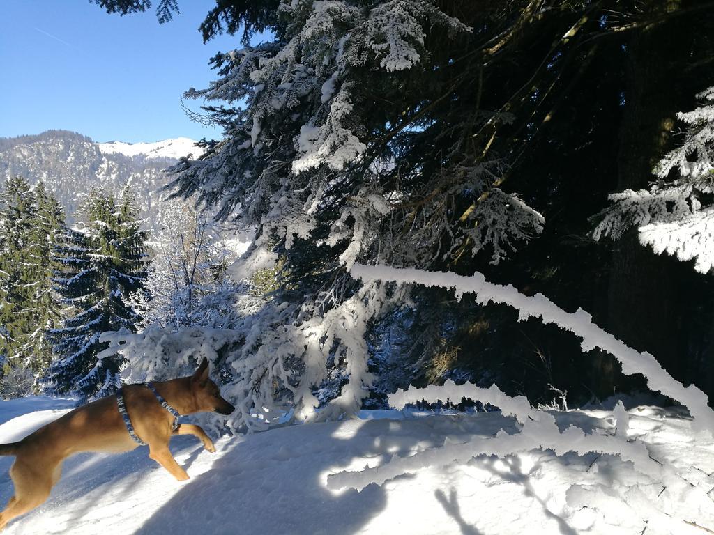 Chalet Glockenhof Вальхзе Екстер'єр фото